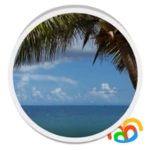 beach palm tree live wallpaper android application logo